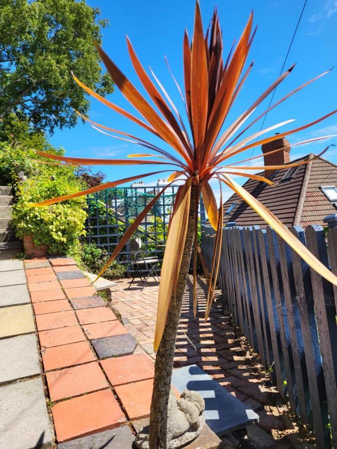 Seasidesteps Fishguard Exterior foto